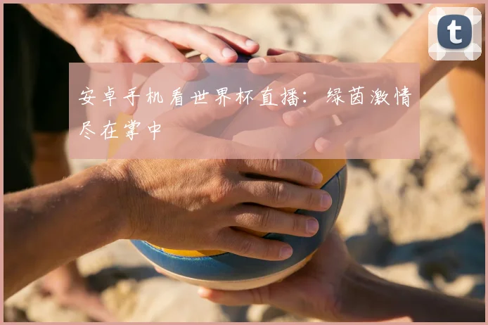 安卓手机看世界杯直播：绿茵激情尽在掌中